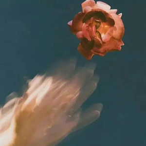 高敏王芳吴刚江晓萍小说
