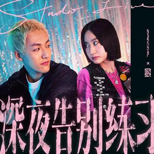 高敏王芳吴刚江晓萍小说
